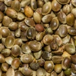 How to Read a Hemp Oil Label Like a Pro