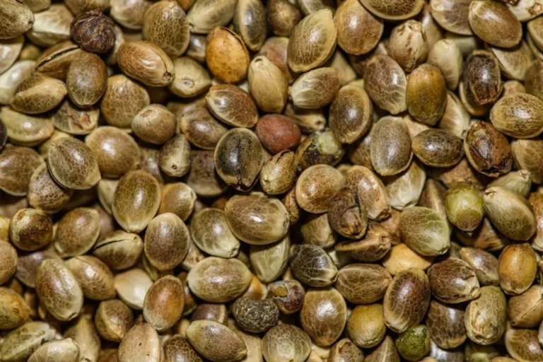 How to Read a Hemp Oil Label Like a Pro