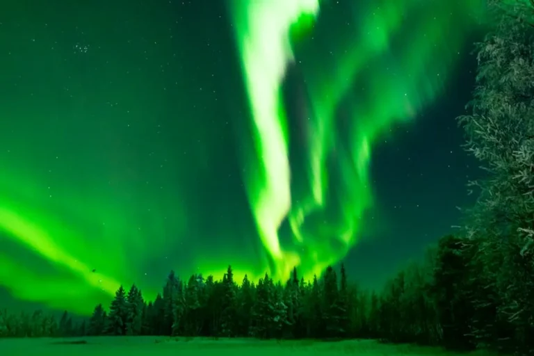 Bronwin Aurora and the Power of Story-Driven Search Intent