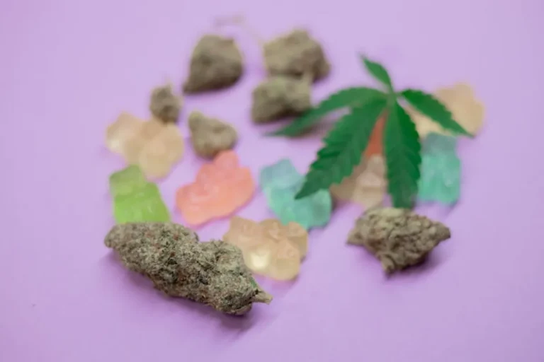 CBD Gummies vs Hemp Oil: Which Is Better for You?