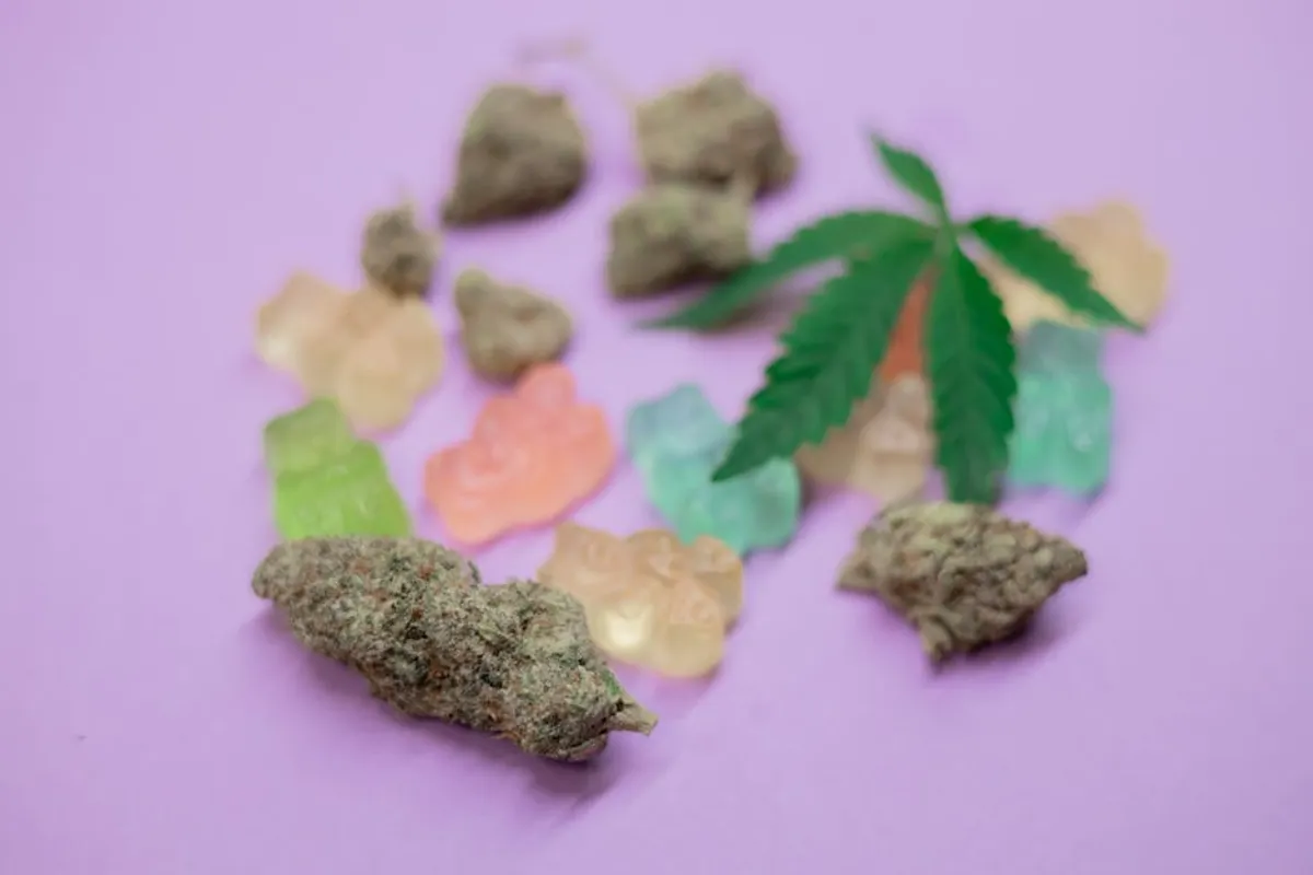 CBD Gummies vs Hemp Oil: Which Is Better for You?