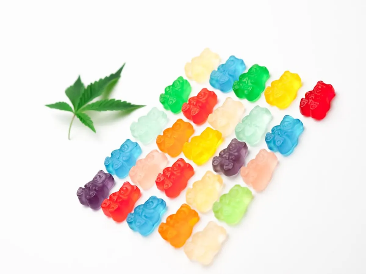 CBD Gummies vs Hemp Oil: Which Wellness Option Fits Your Routine?