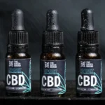 CBD Oil for Beginners: Common Questions Answered