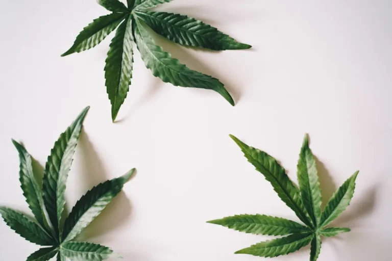 How to Choose a Hemp Oil Product Safely