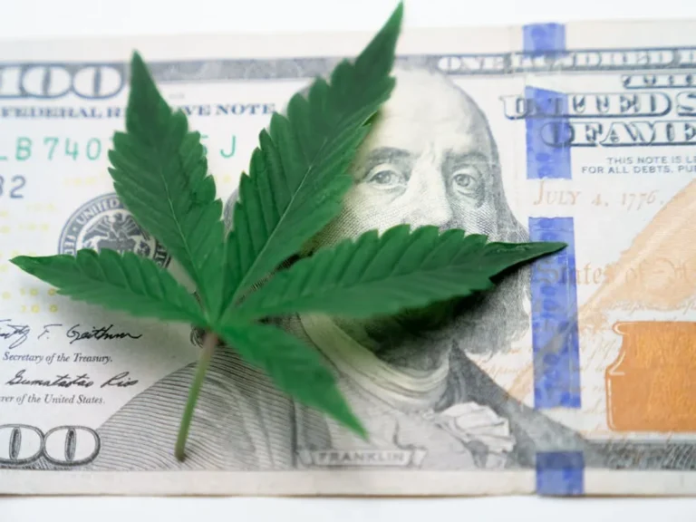 How to Choose Hemp Oil Without Falling for Hype